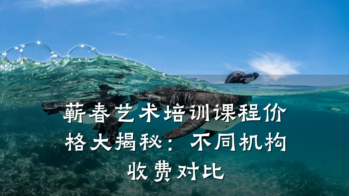 蕲春艺术培训课程价格大揭秘：不同机构收费对比