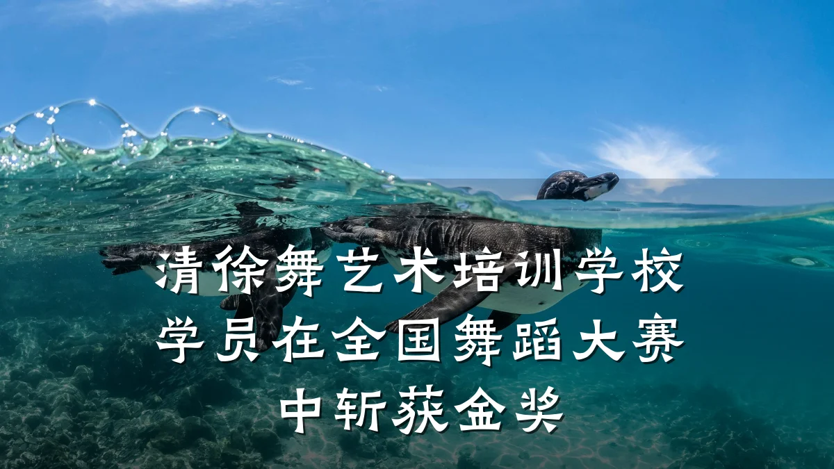 清徐舞艺术培训学校学员在全国舞蹈大赛中斩获金奖