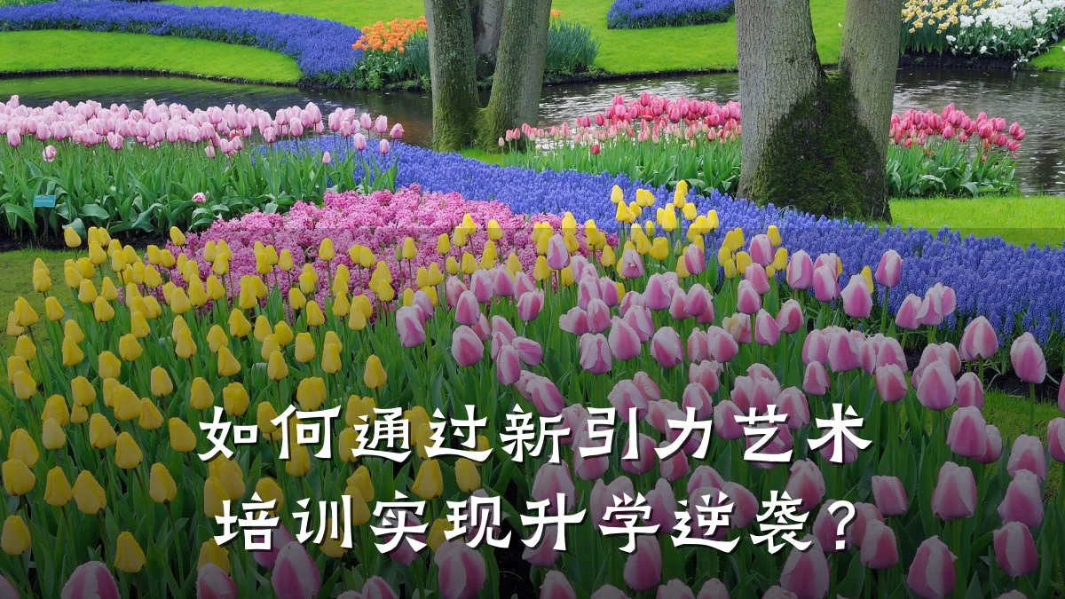 如何通过新引力艺术培训实现升学逆袭？