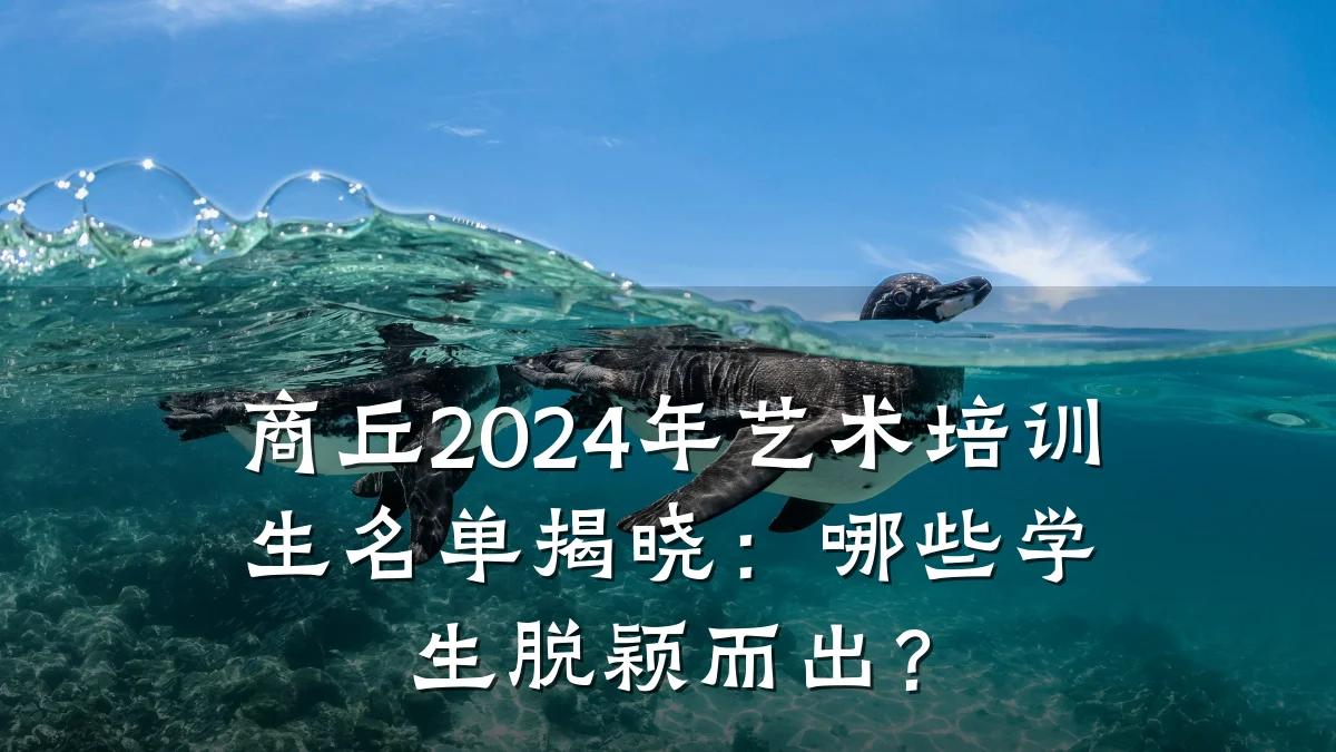 商丘2024年艺术培训生名单揭晓：哪些学生脱颖而出？