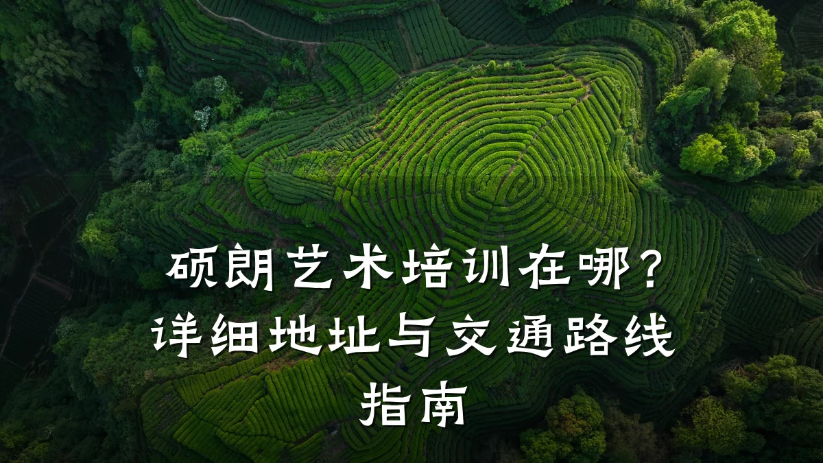 硕朗艺术培训在哪?详细地址与交通路线指南