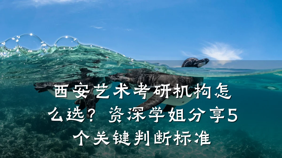 西安艺术考研机构怎么选？资深学姐分享5个关键判断标准