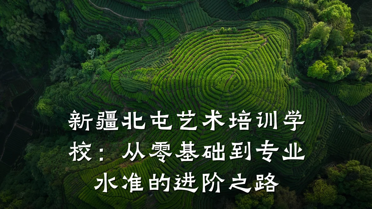 新疆北屯艺术培训学校：从零基础到专业水准的进阶之路