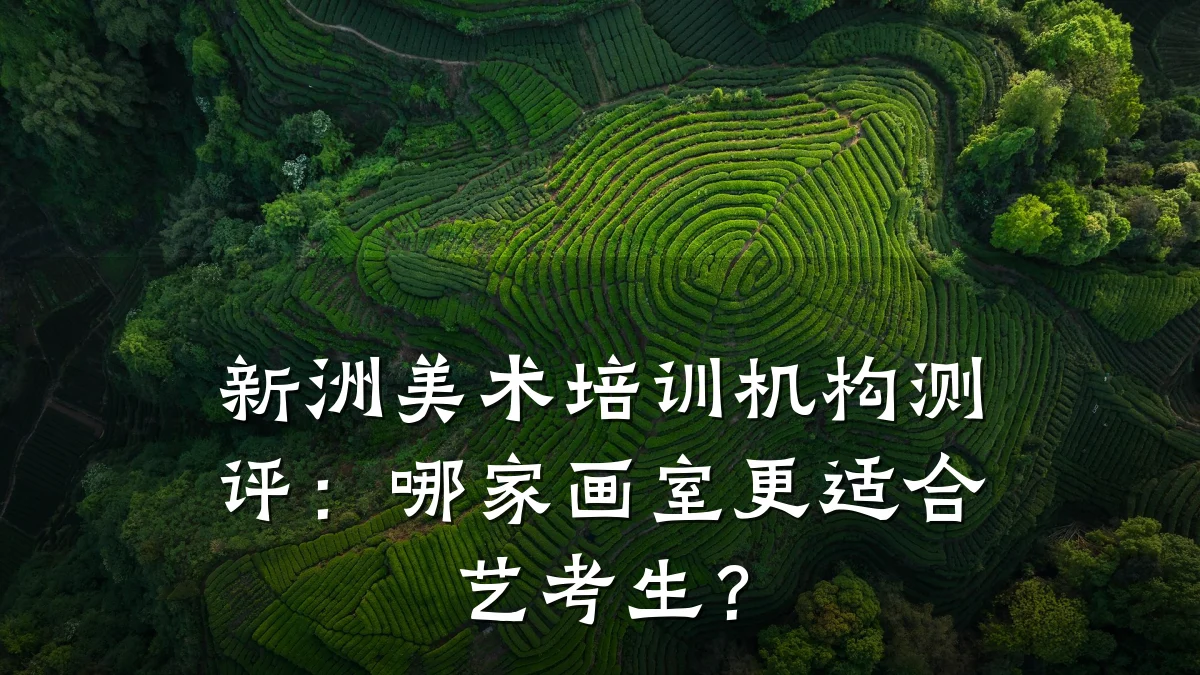 新洲美术培训机构测评：哪家画室更适合艺考生？