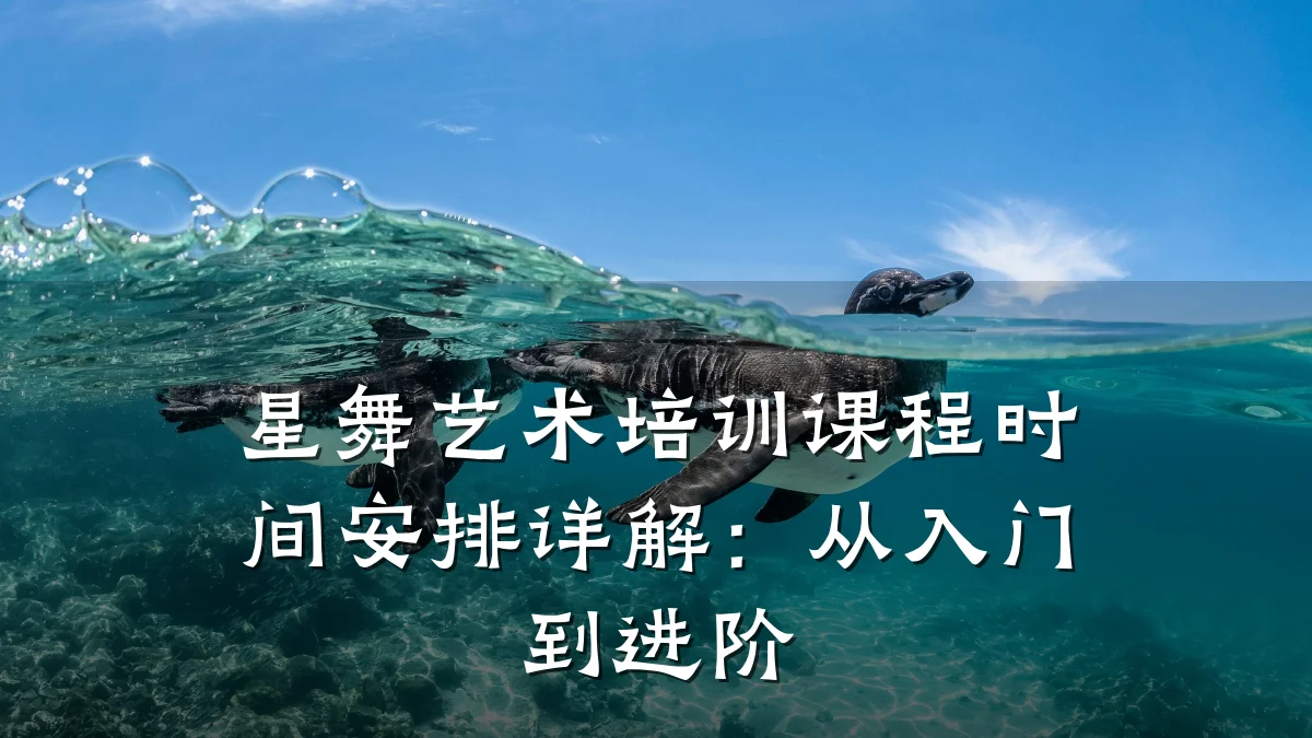 星舞艺术培训课程时间安排详解：从入门到进阶