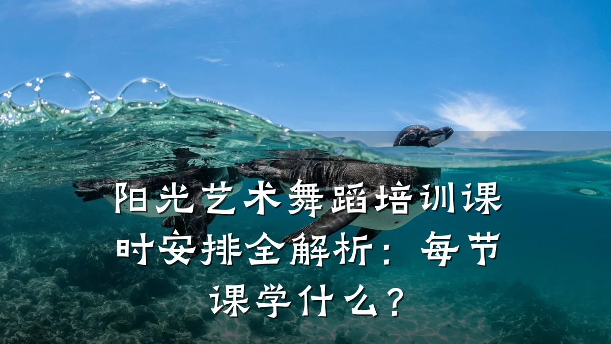 阳光艺术舞蹈培训课时安排全解析：每节课学什么？