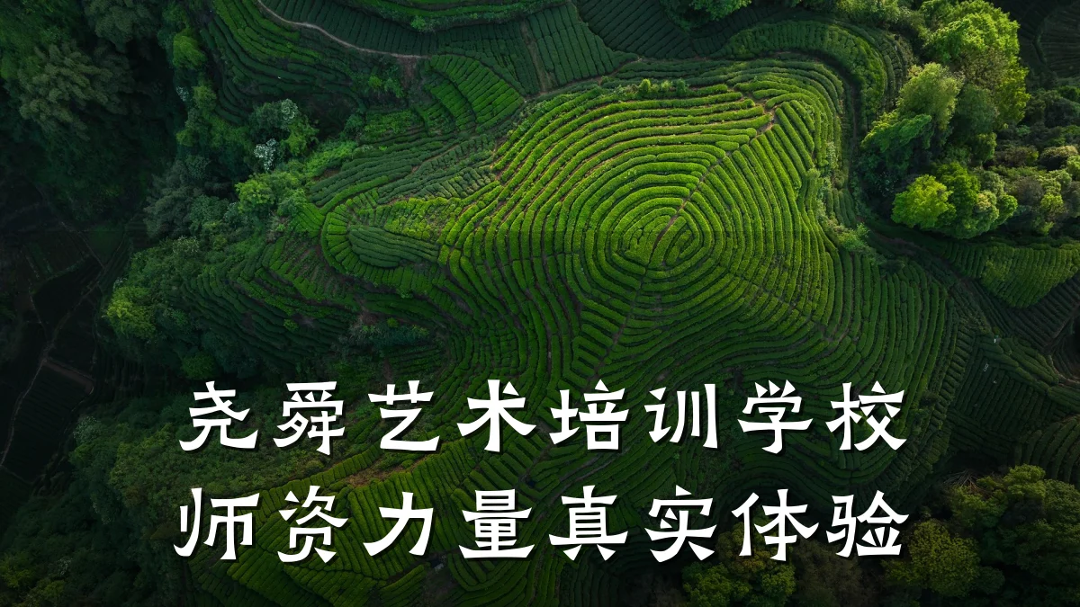 尧舜艺术培训学校师资力量真实体验