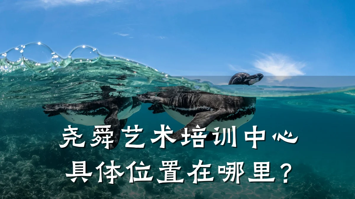 尧舜艺术培训中心具体位置在哪里？