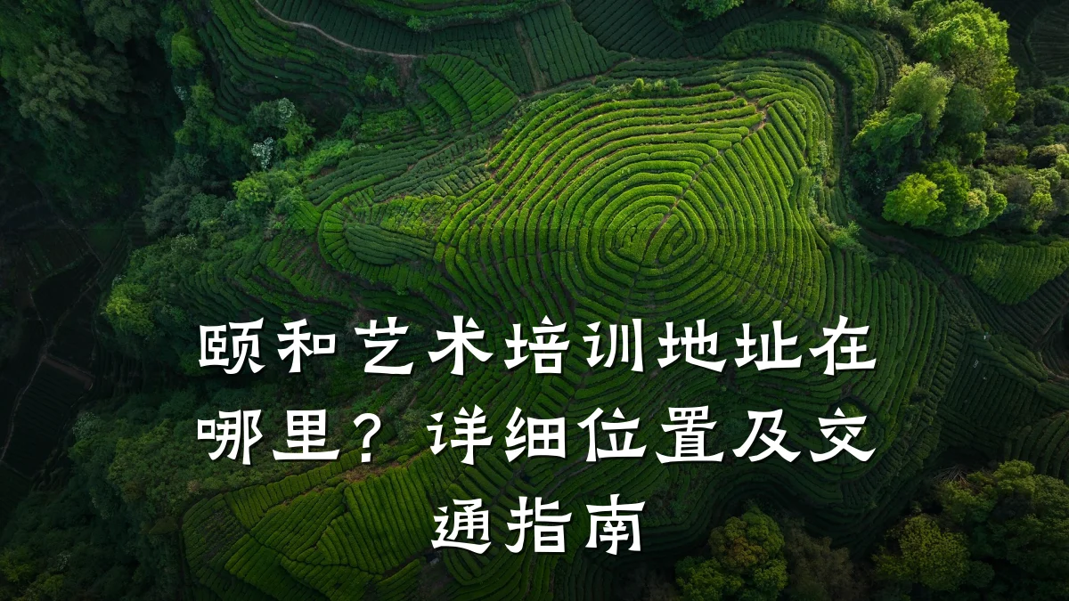 颐和艺术培训地址在哪里？详细位置及交通指南
