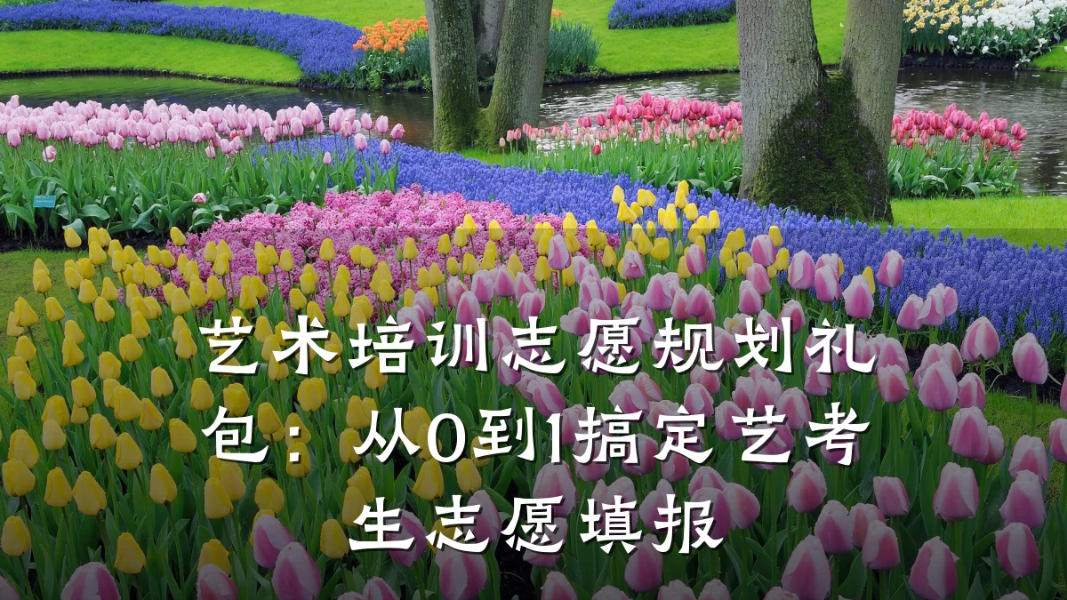 艺术培训志愿规划礼包：从0到1搞定艺考生志愿填报