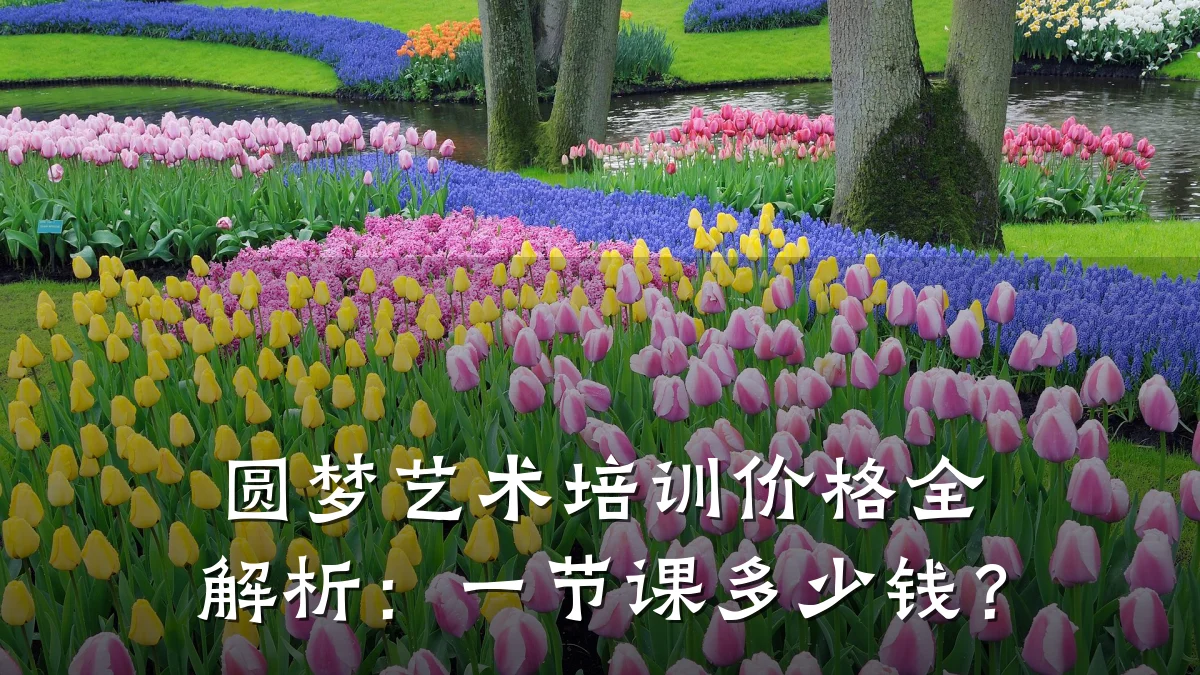 圆梦艺术培训价格全解析：一节课多少钱？