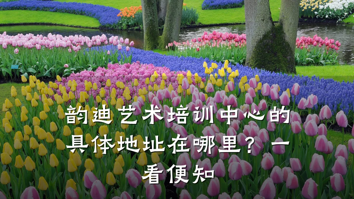 韵迪艺术培训中心的具体地址在哪里？一看便知
