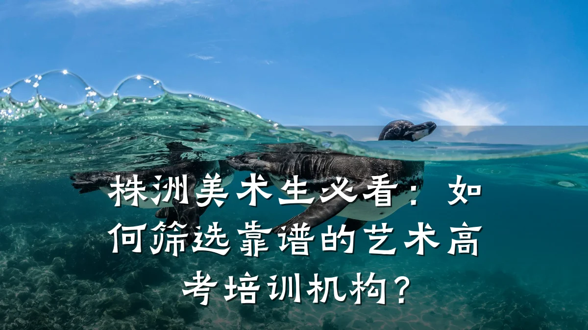株洲美术生必看：如何筛选靠谱的艺术高考培训机构？