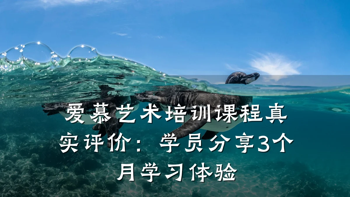 爱慕艺术培训课程真实评价：学员分享3个月学习体验