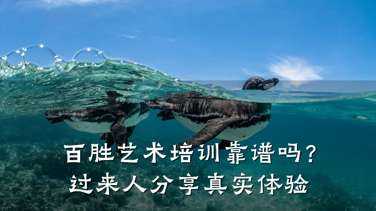 百胜艺术培训靠谱吗？过来人分享真实体验