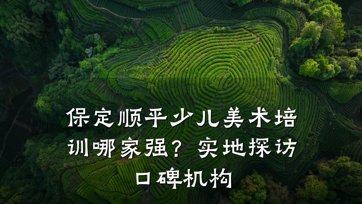 保定顺平少儿美术培训哪家强?实地探访口碑机构