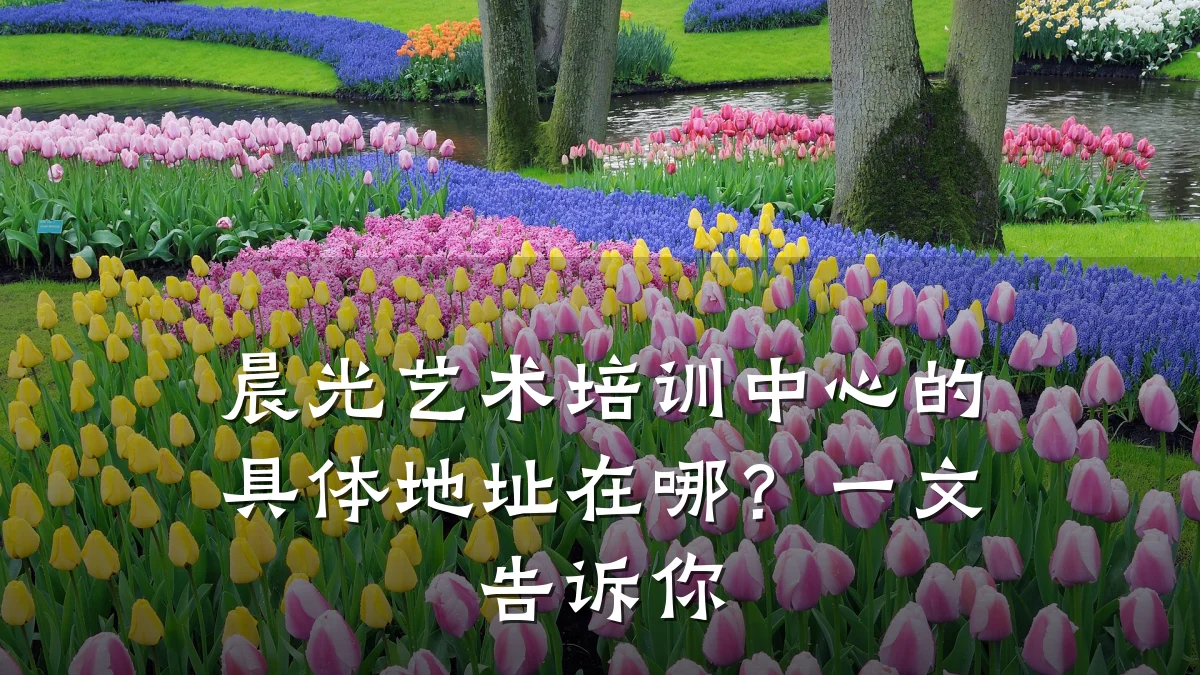 晨光艺术培训中心的具体地址在哪？一文告诉你