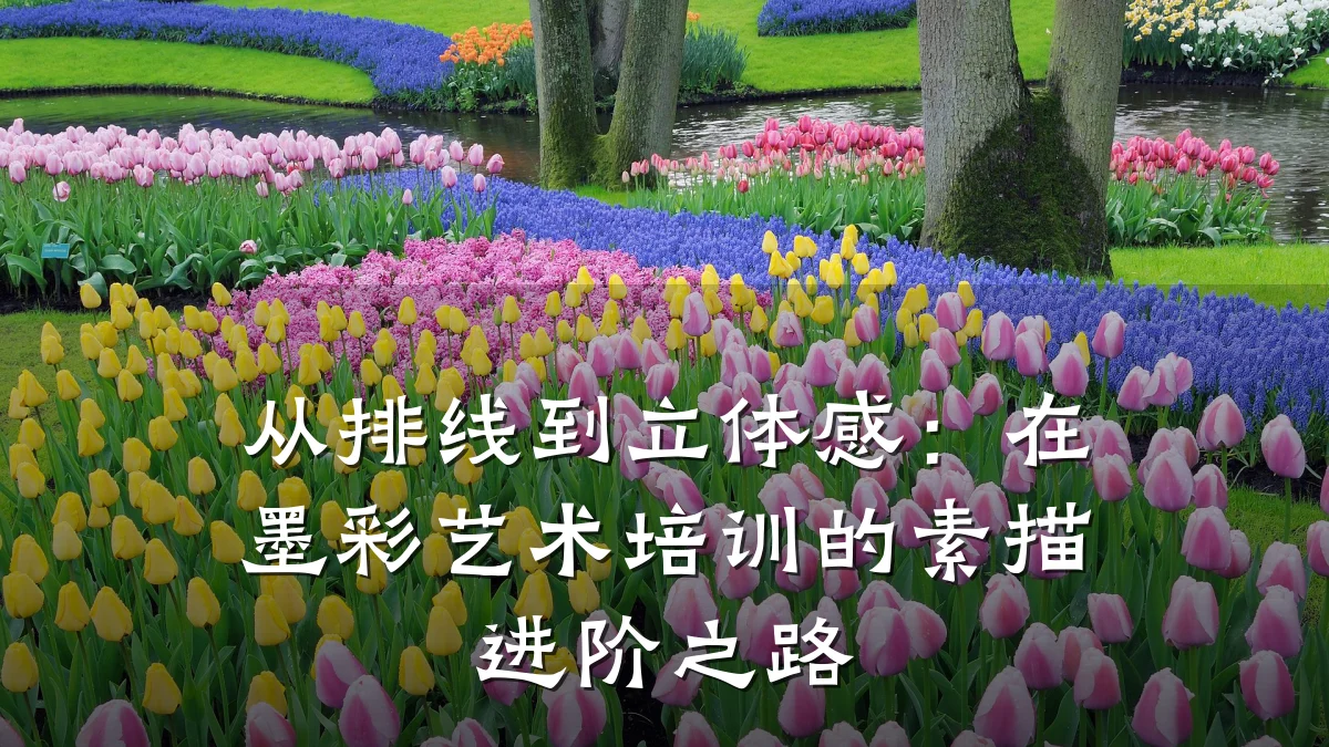 从排线到立体感：在墨彩艺术培训的素描进阶之路