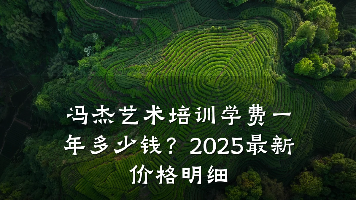 冯杰艺术培训学费一年多少钱？2025最新价格明细
