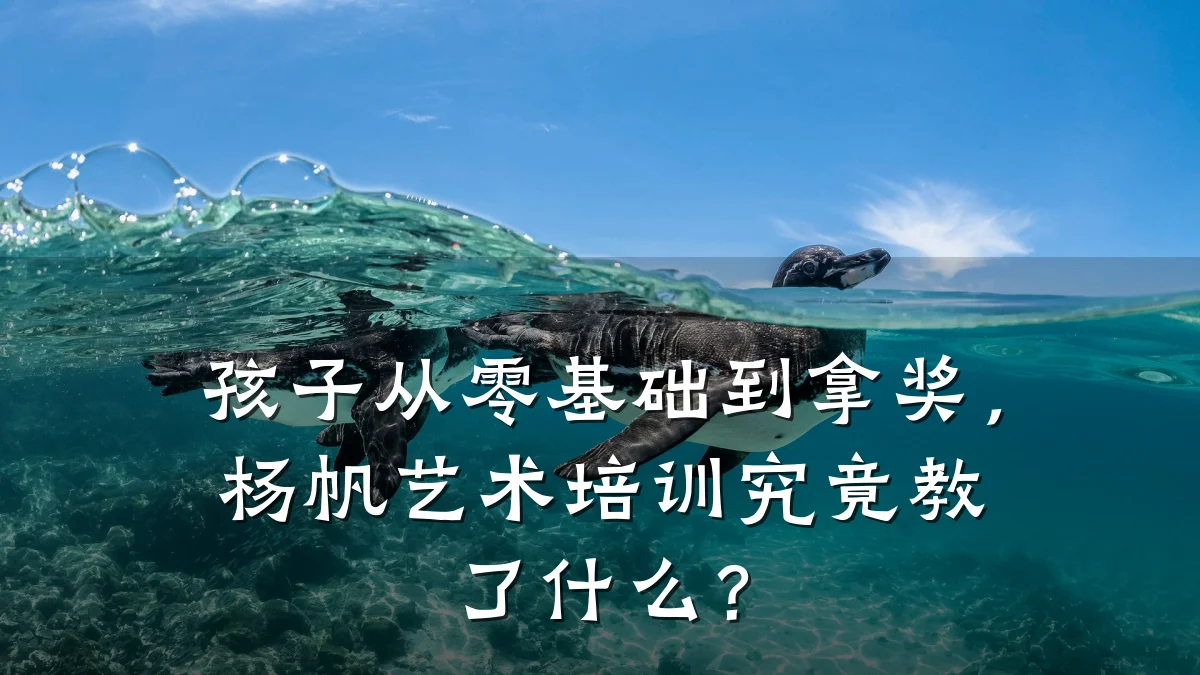 孩子从零基础到拿奖，杨帆艺术培训究竟教了什么？