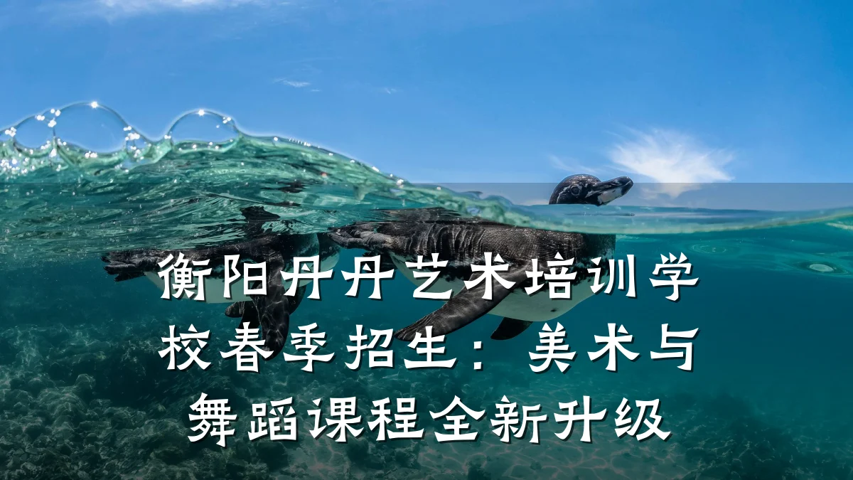 衡阳丹丹艺术培训学校春季招生：美术与舞蹈课程全新升级