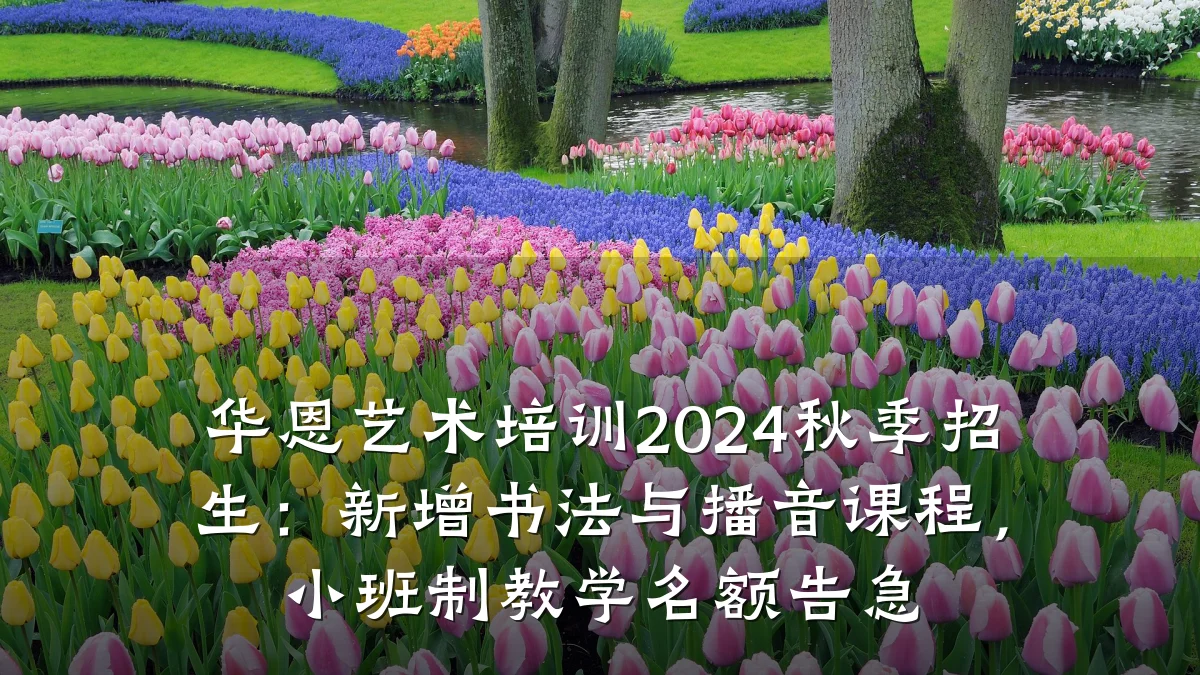华恩艺术培训2024秋季招生：新增书法与播音课程，小班制教学名额告急