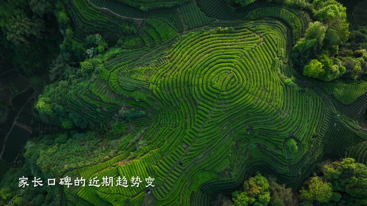 家长口碑的近期趋势变