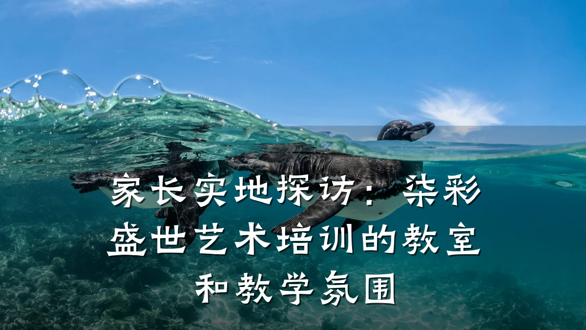 家长实地探访:柒彩盛世艺术培训的教室和教学氛围