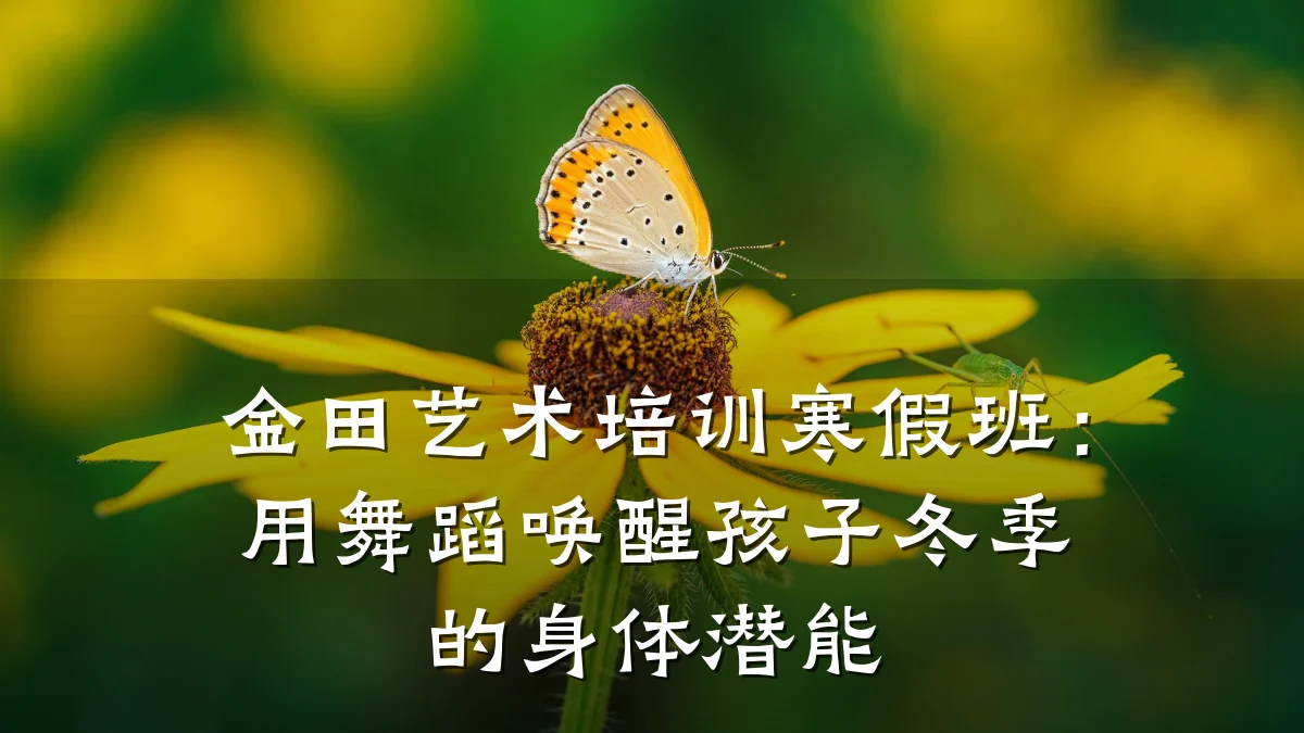 金田艺术培训寒假班:用舞蹈唤醒孩子冬季的身体潜能