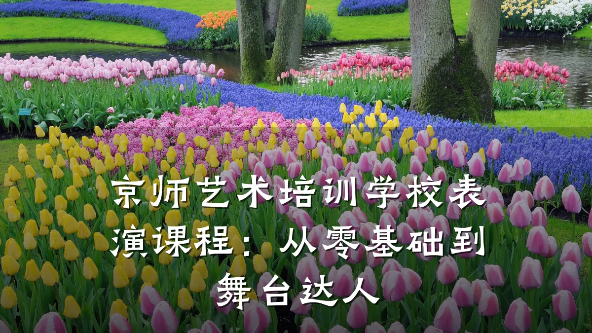 京师艺术培训学校表演课程：从零基础到舞台达人