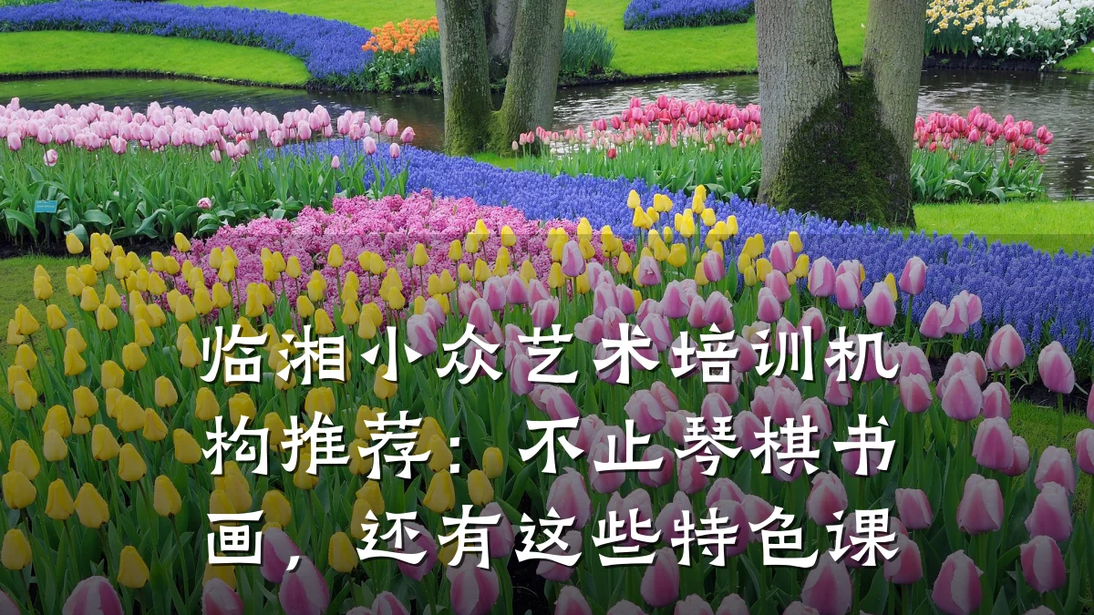 临湘小众艺术培训机构推荐：不止琴棋书画，还有这些特色课