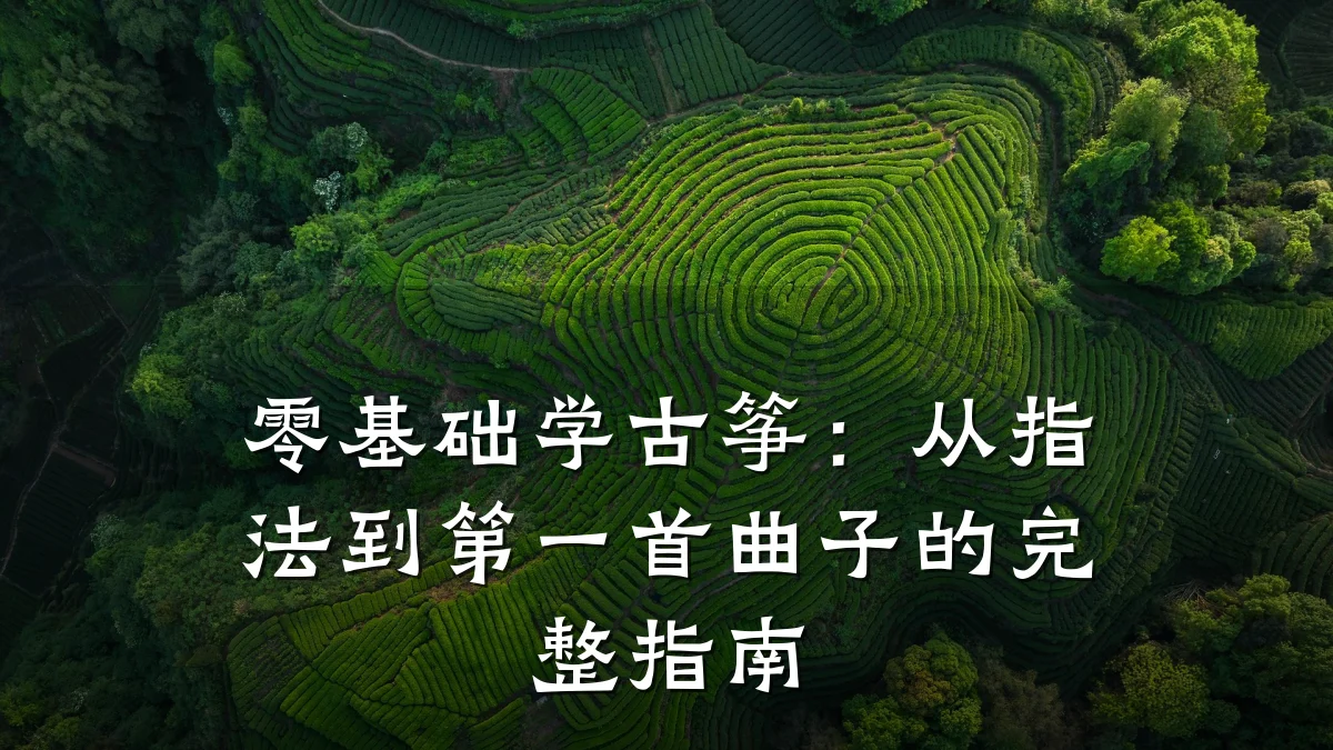 零基础学古筝：从指法到第一首曲子的完整指南