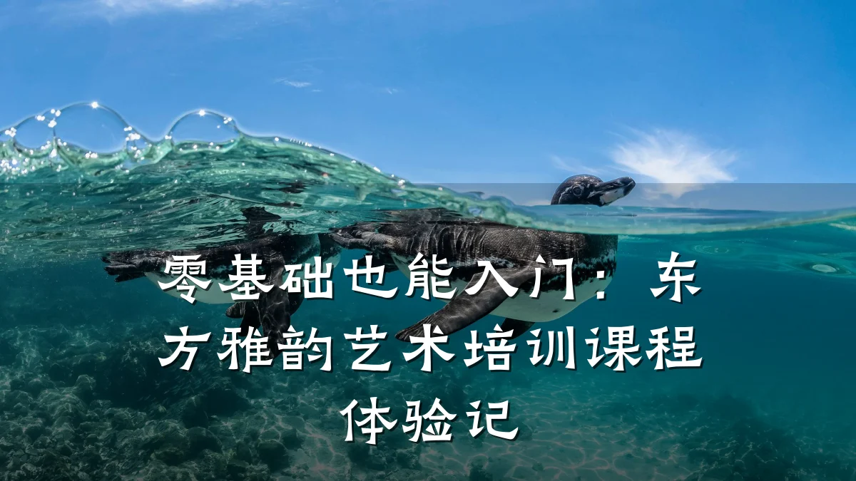 零基础也能入门：东方雅韵艺术培训课程体验记