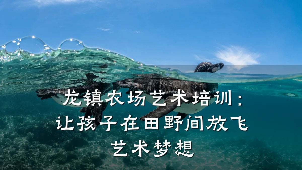 龙镇农场艺术培训：让孩子在田野间放飞艺术梦想