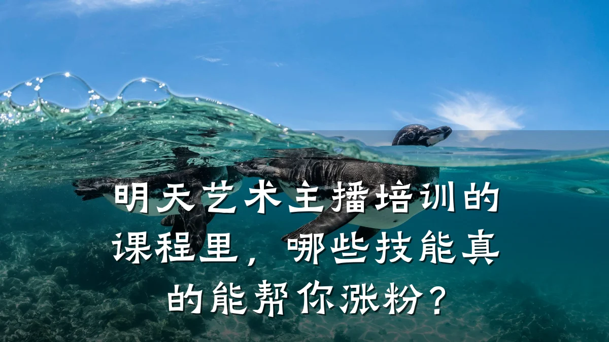 明天艺术主播培训的课程里，哪些技能真的能帮你涨粉？