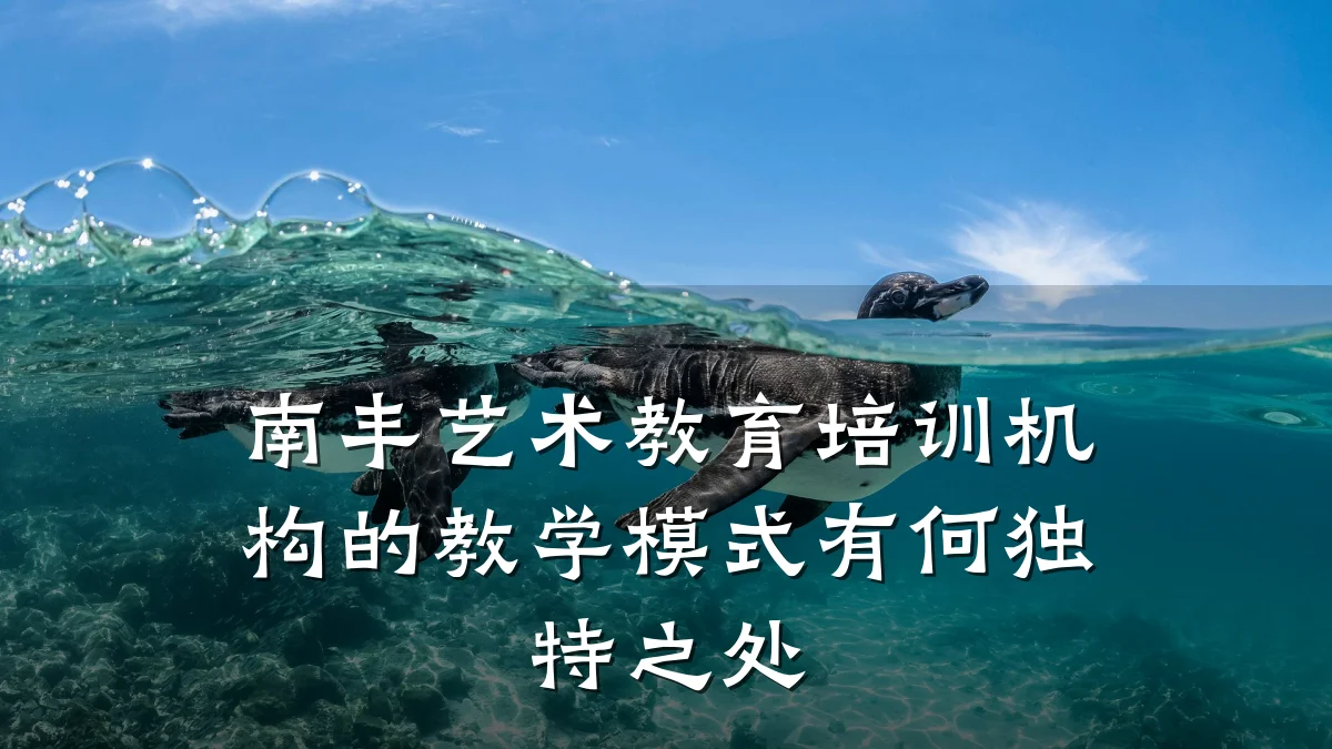 南丰艺术教育培训机构的教学模式有何独特之处