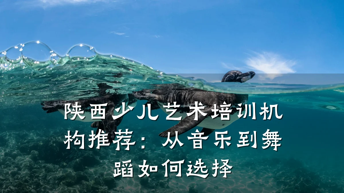 陕西少儿艺术培训机构推荐：从音乐到舞蹈如何选择