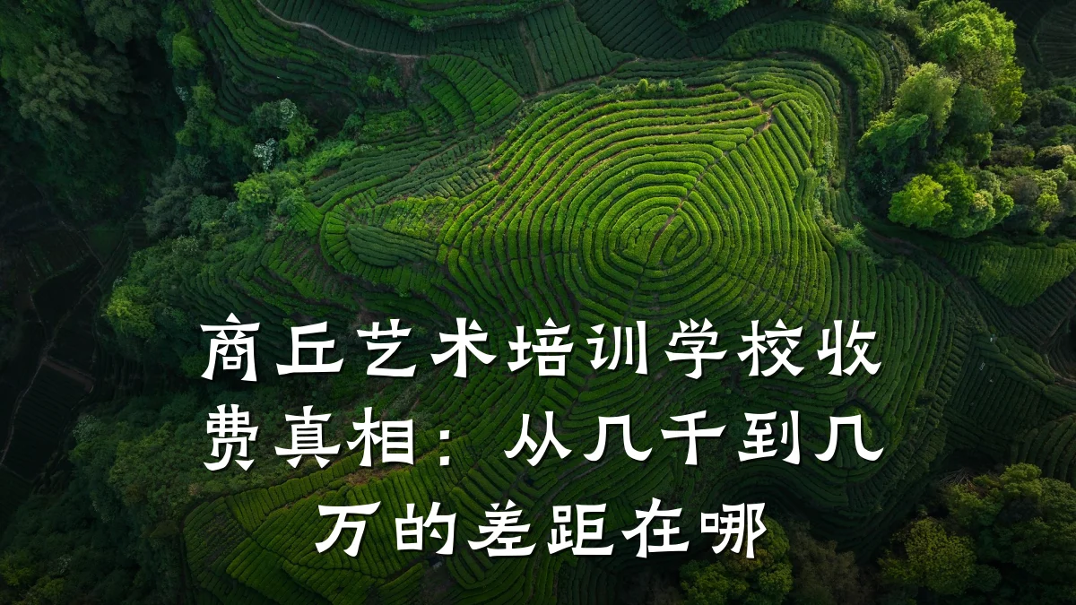 商丘艺术培训学校收费真相：从几千到几万的差距在哪