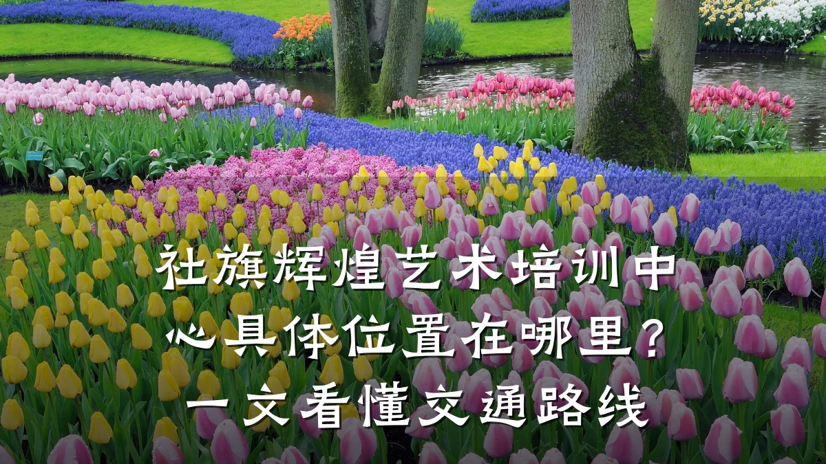 社旗辉煌艺术培训中心具体位置在哪里？一文看懂交通路线