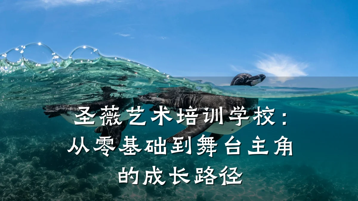 圣薇艺术培训学校：从零基础到舞台主角的成长路径