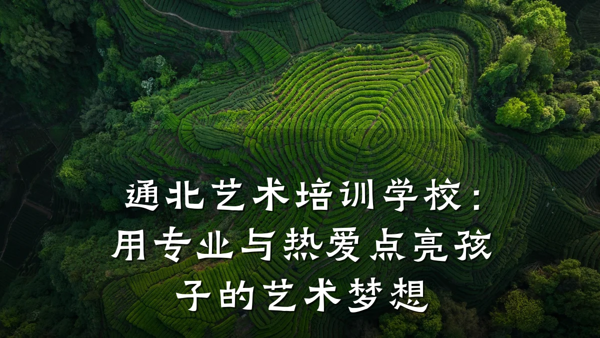 通北艺术培训学校:用专业与热爱点亮孩子的艺术梦想