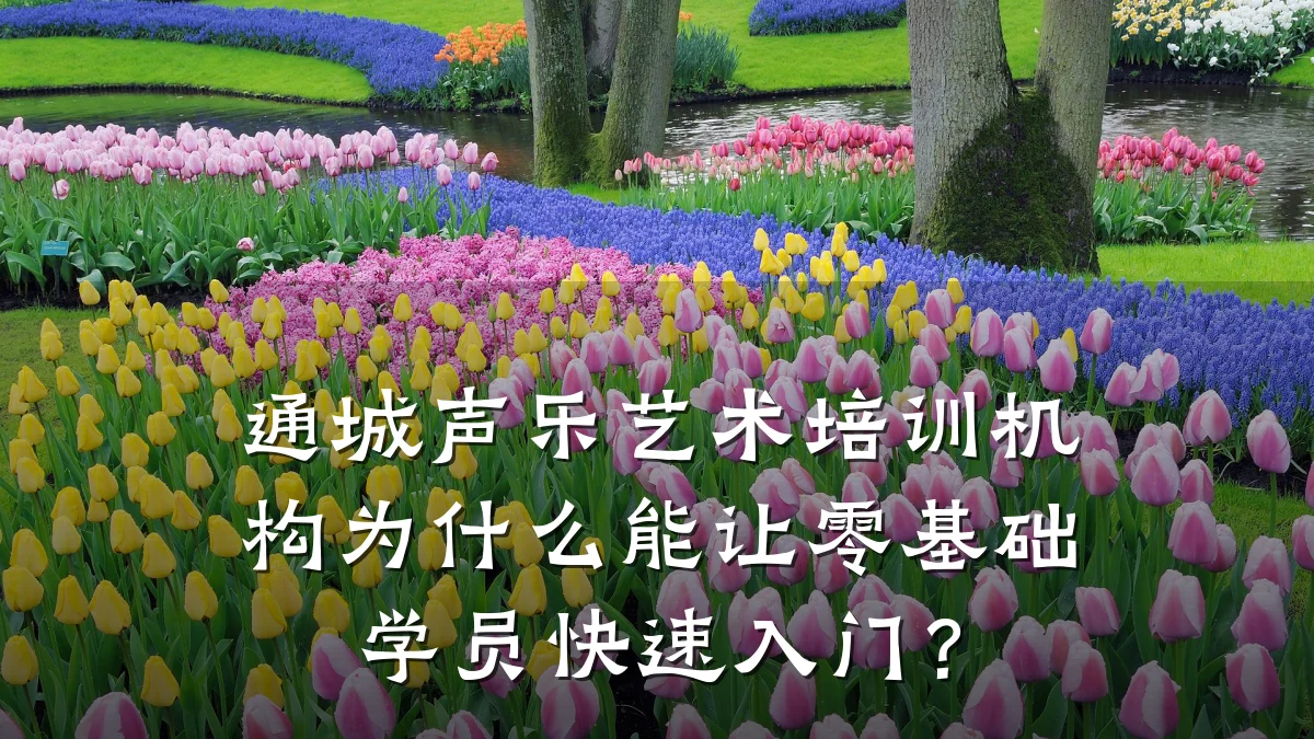 通城声乐艺术培训机构为什么能让零基础学员快速入门?