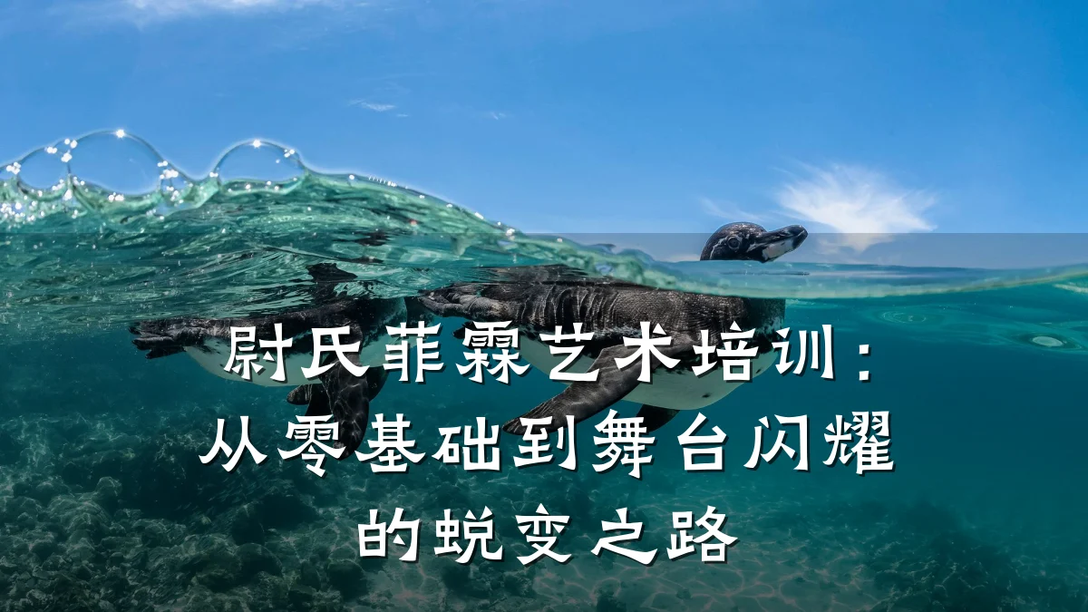 尉氏菲霖艺术培训:从零基础到舞台闪耀的蜕变之路