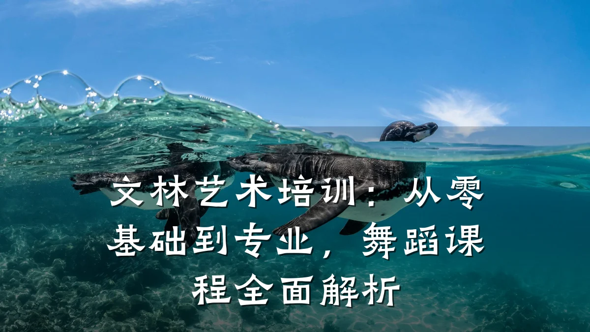 文林艺术培训：从零基础到专业，舞蹈课程全面解析