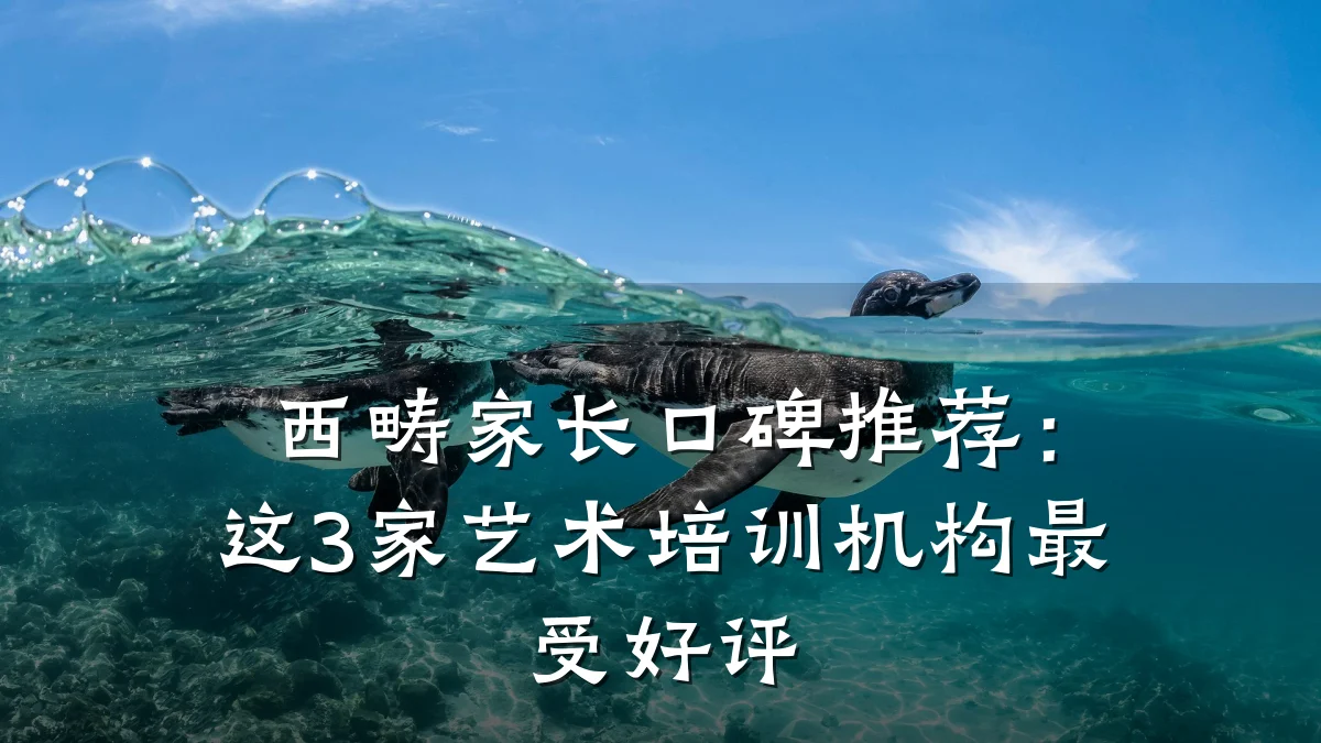 西畴家长口碑推荐:这3家艺术培训机构最受好评