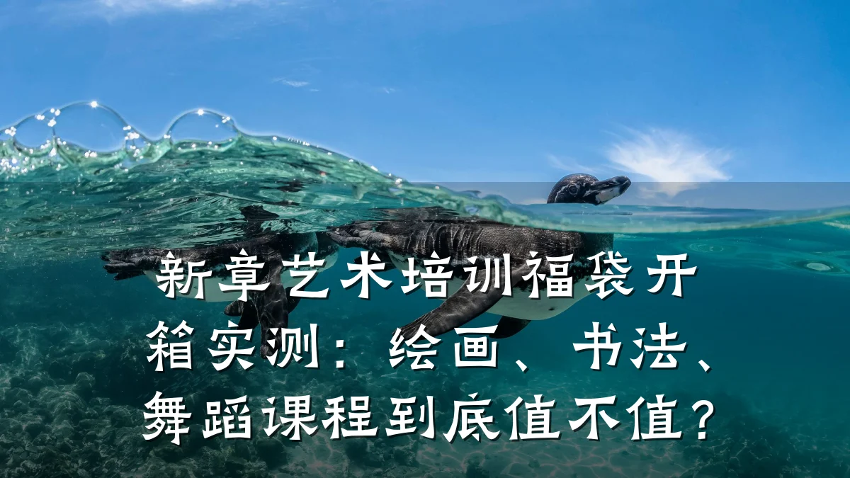新章艺术培训福袋开箱实测：绘画、书法、舞蹈课程到底值不值？
