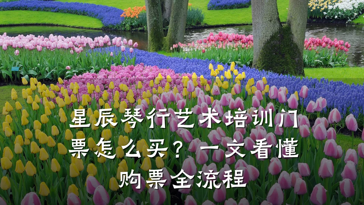 星辰琴行艺术培训门票怎么买？一文看懂购票全流程