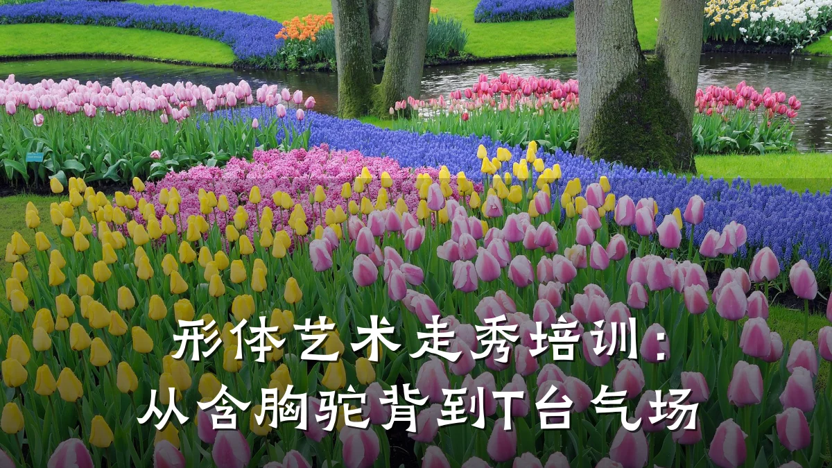 形体艺术走秀培训：从含胸驼背到T台气场