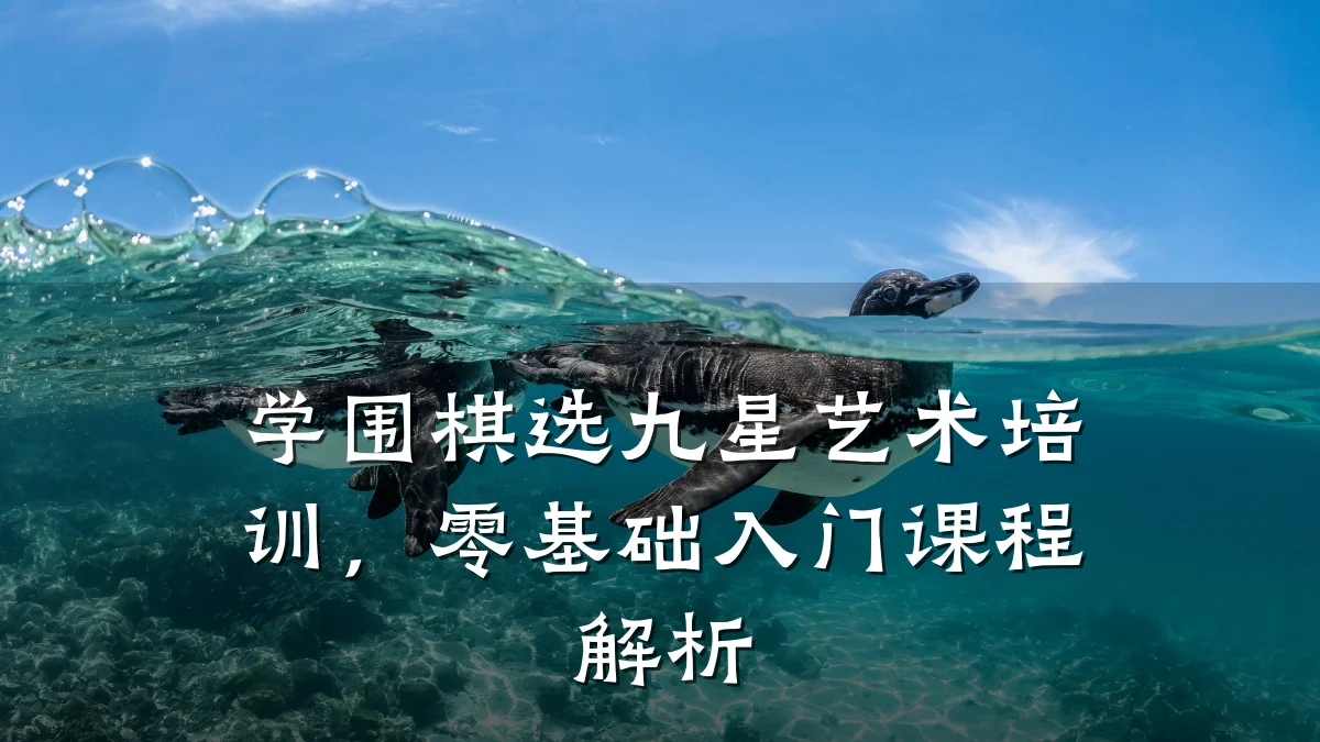 学围棋选九星艺术培训,零基础入门课程解析