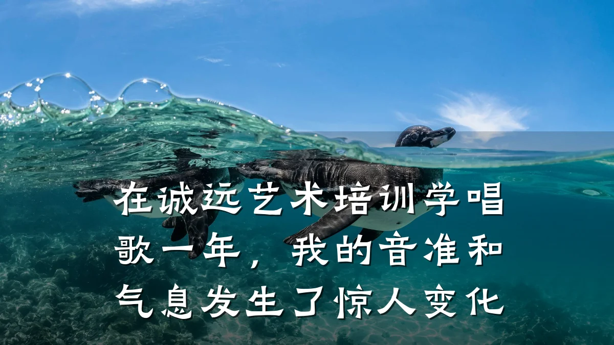 在诚远艺术培训学唱歌一年，我的音准和气息发生了惊人变化